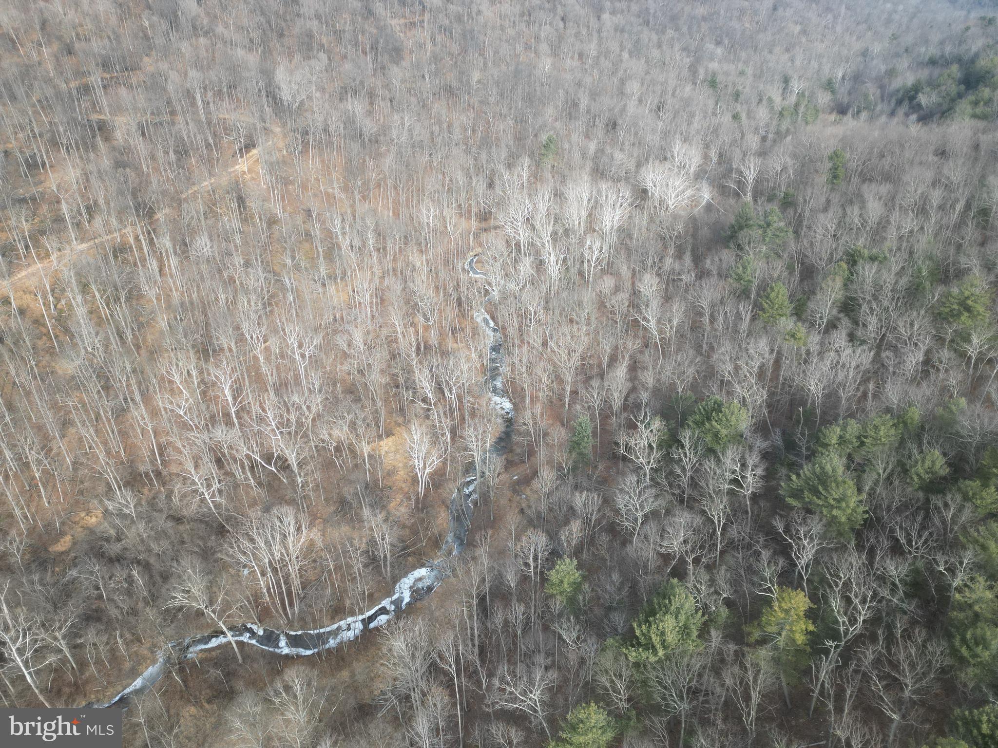 Sir Johns Run Road Berkeley Springs, WV 25411 - Photo 49 of 64