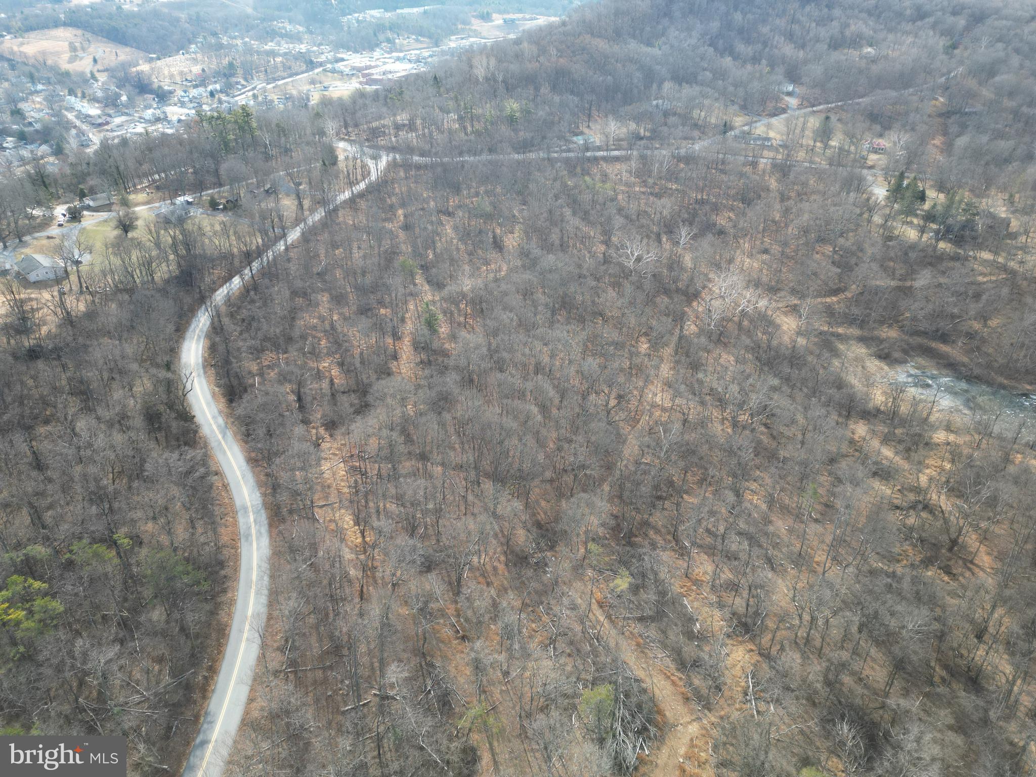 Sir Johns Run Road Berkeley Springs, WV 25411 - Photo 50 of 64