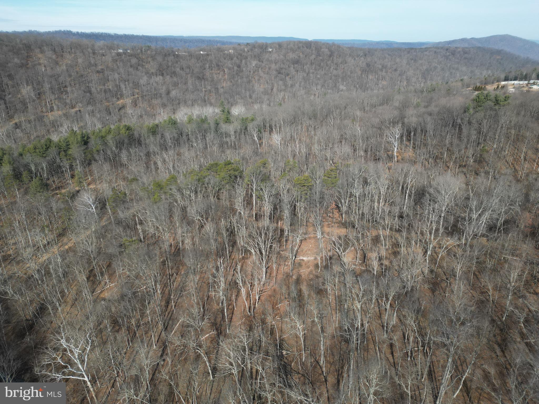 Sir Johns Run Road Berkeley Springs, WV 25411 - Photo 54 of 64