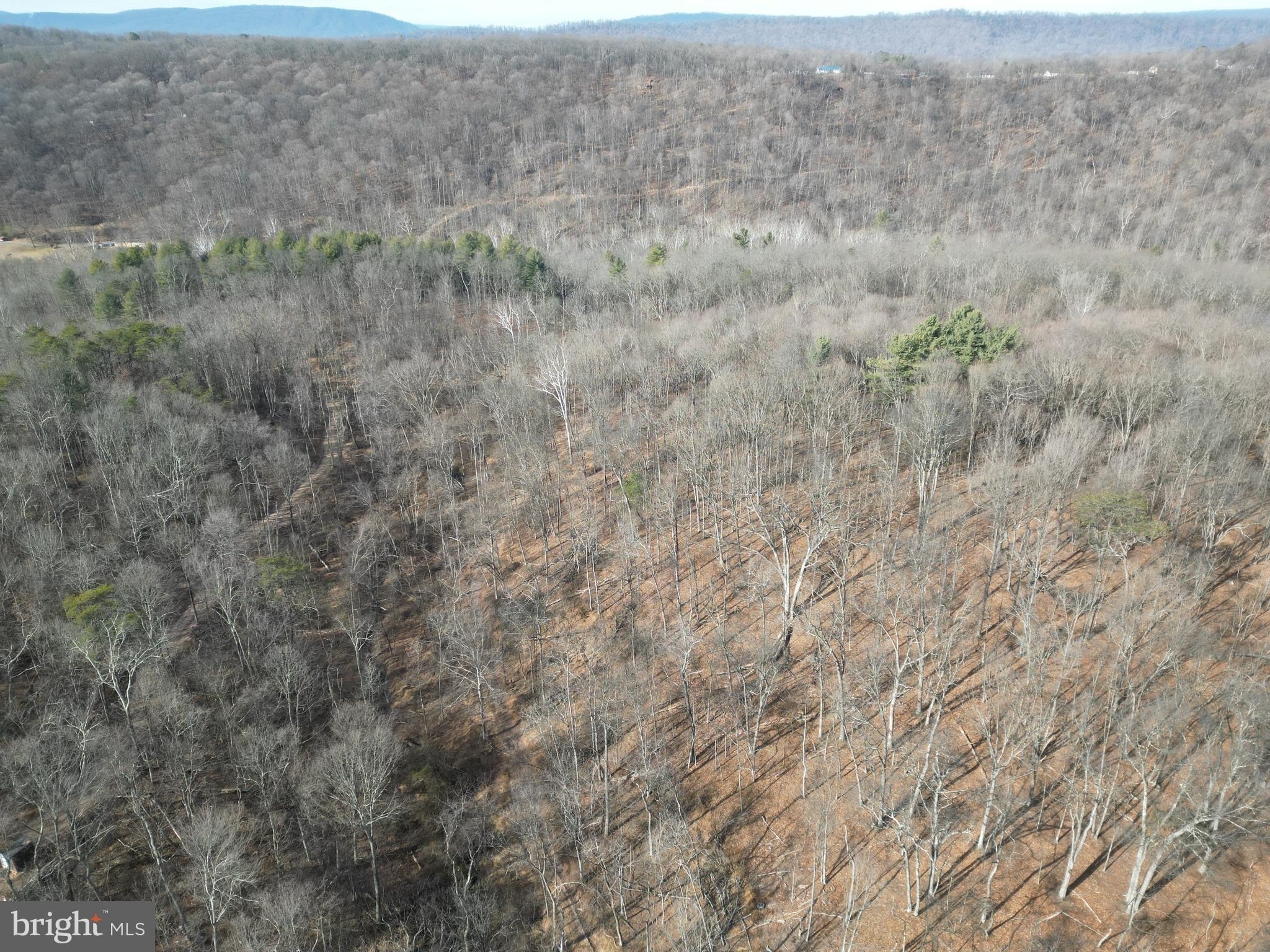 Sir Johns Run Road Berkeley Springs, WV 25411 - Photo 55 of 64