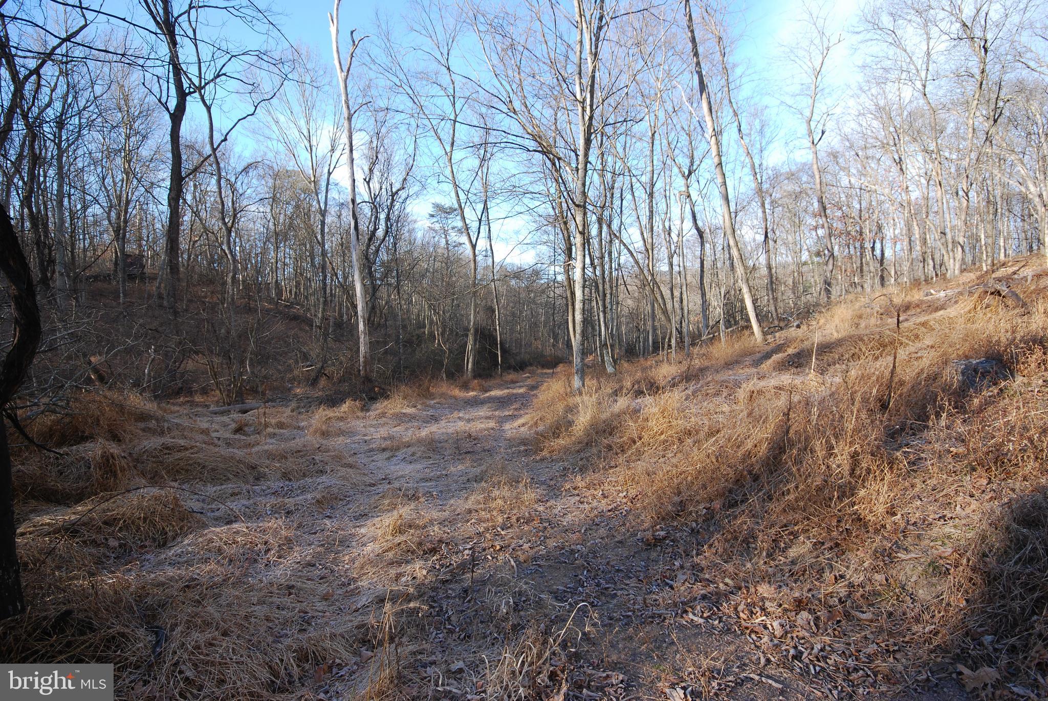 Sir Johns Run Road Berkeley Springs, WV 25411 - Photo 57 of 64