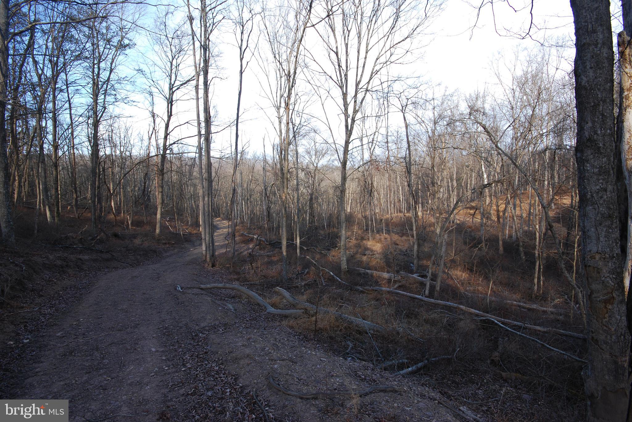 Sir Johns Run Road Berkeley Springs, WV 25411 - Photo 58 of 64