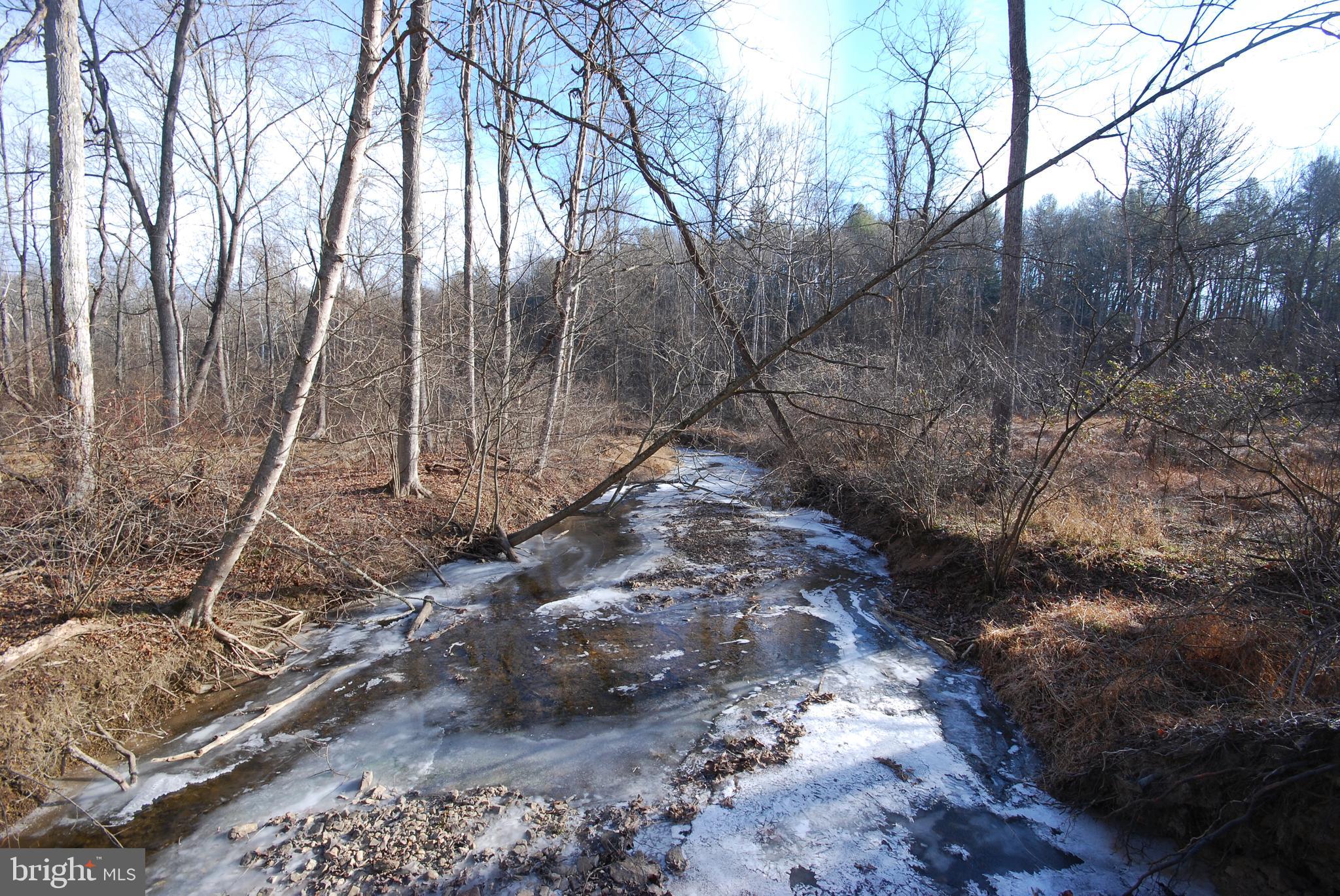Sir Johns Run Road Berkeley Springs, WV 25411 - Photo 59 of 64