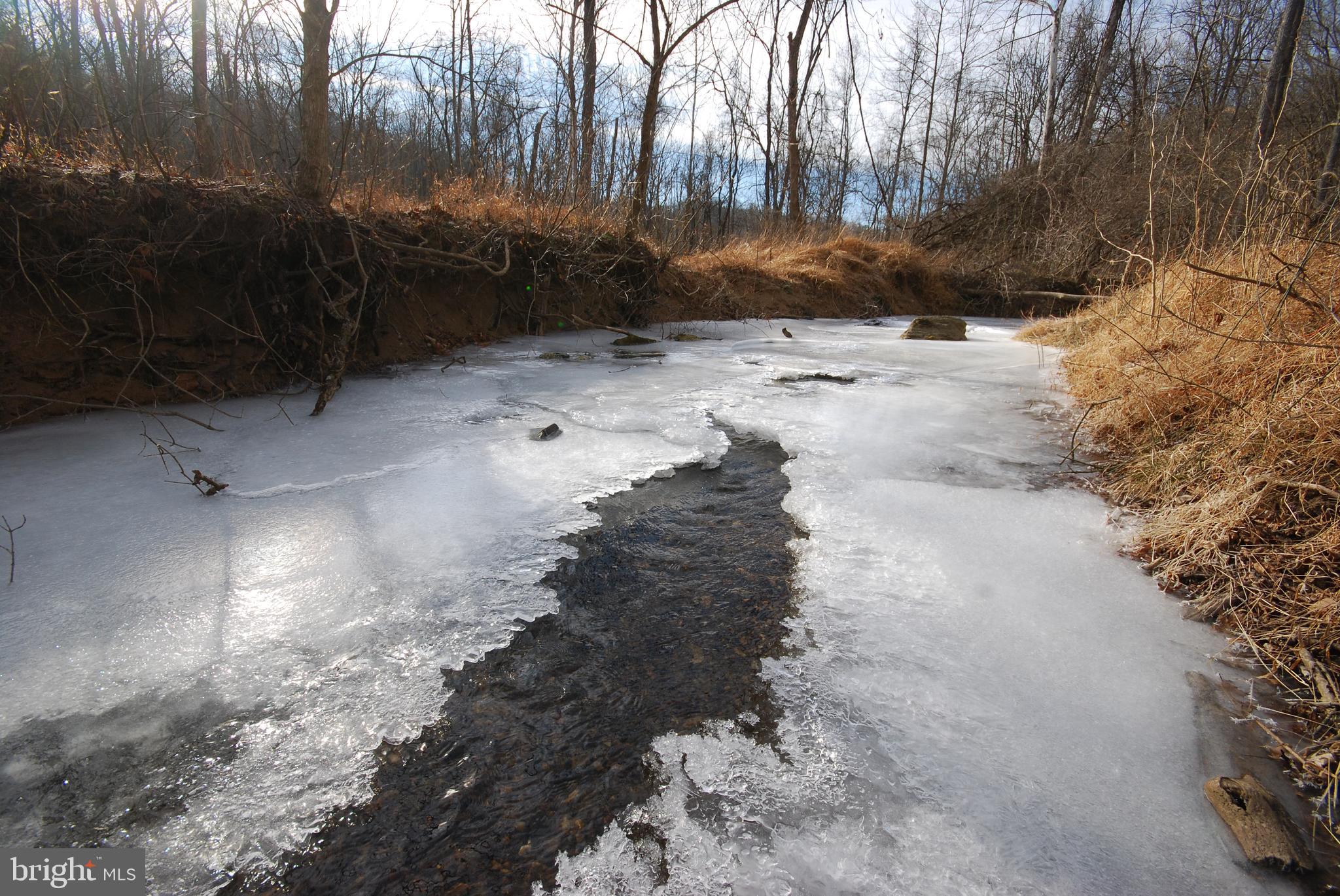 Sir Johns Run Road Berkeley Springs, WV 25411 - Photo 60 of 64