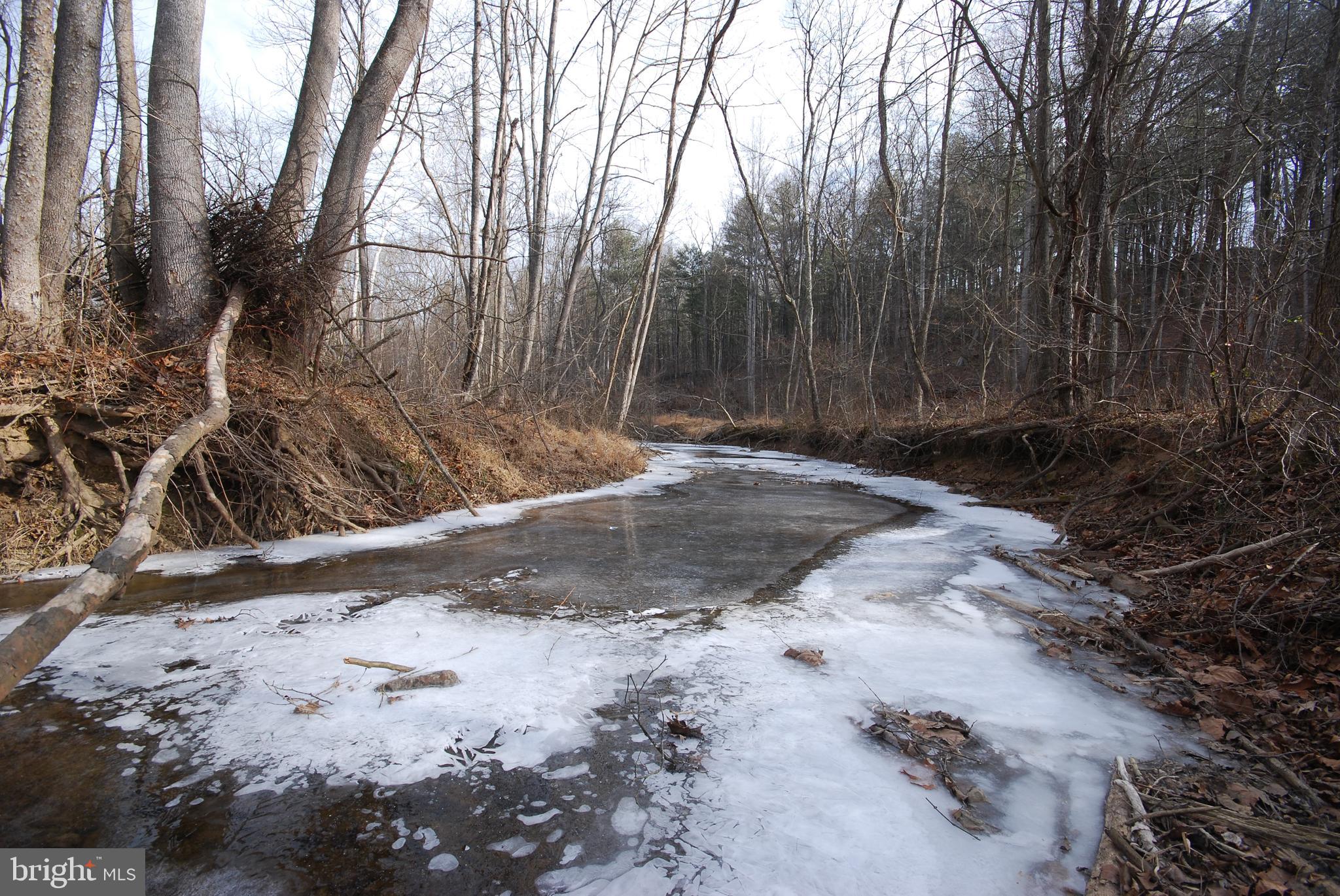 Sir Johns Run Road Berkeley Springs, WV 25411 - Photo 6 of 64