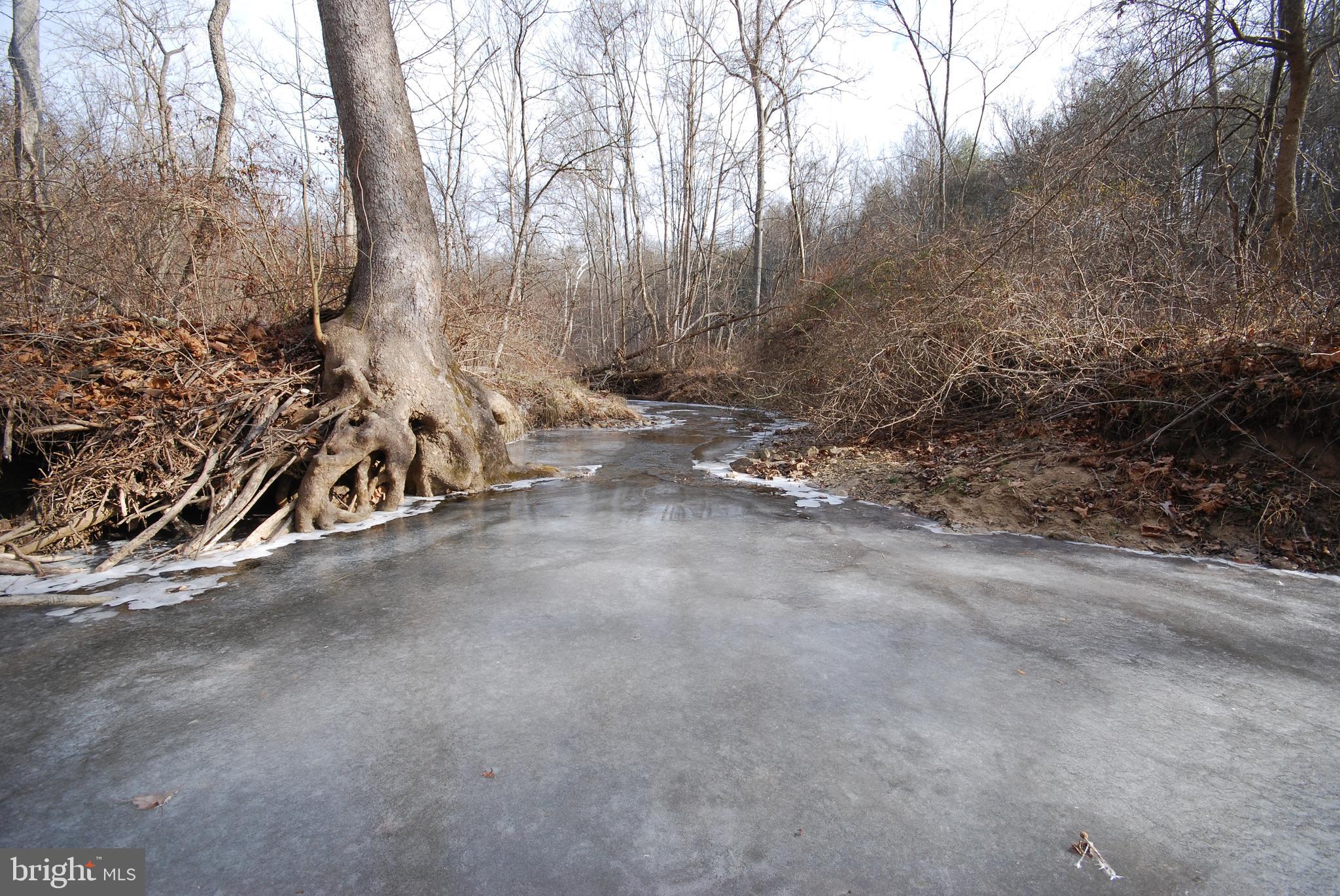 Sir Johns Run Road Berkeley Springs, WV 25411 - Photo 61 of 64