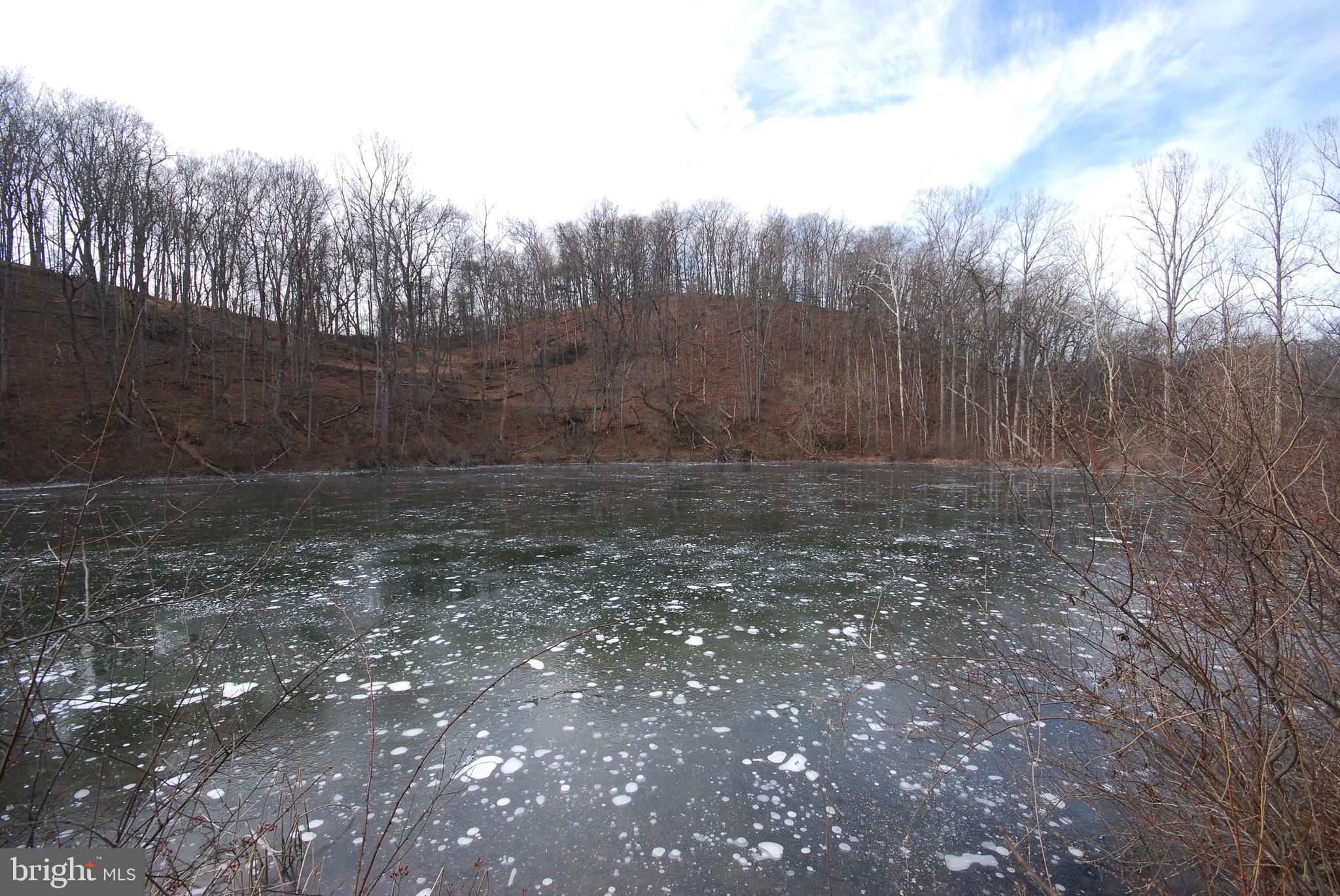 Sir Johns Run Road Berkeley Springs, WV 25411 - Photo 63 of 64