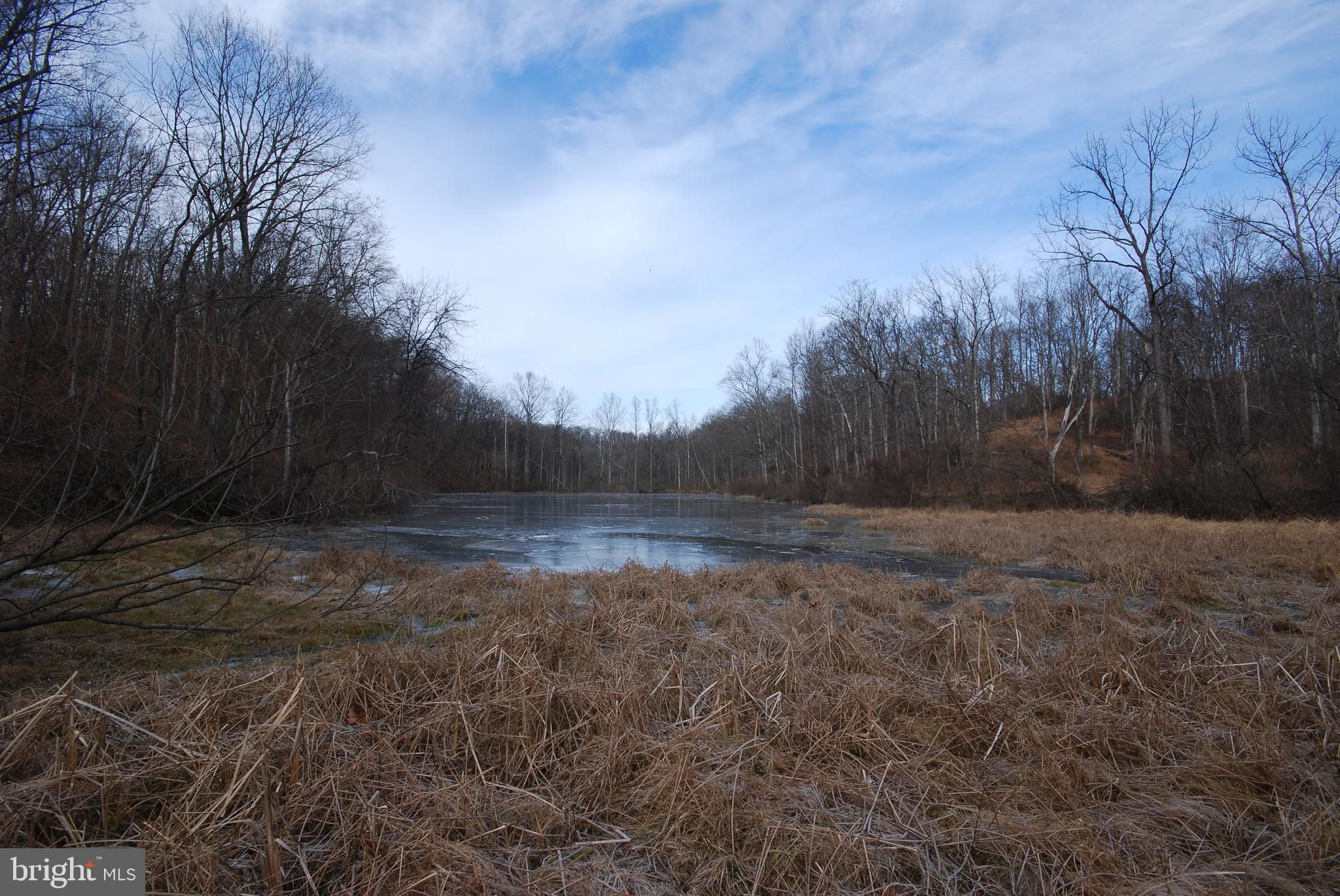 Sir Johns Run Road Berkeley Springs, WV 25411 - Photo 64 of 64