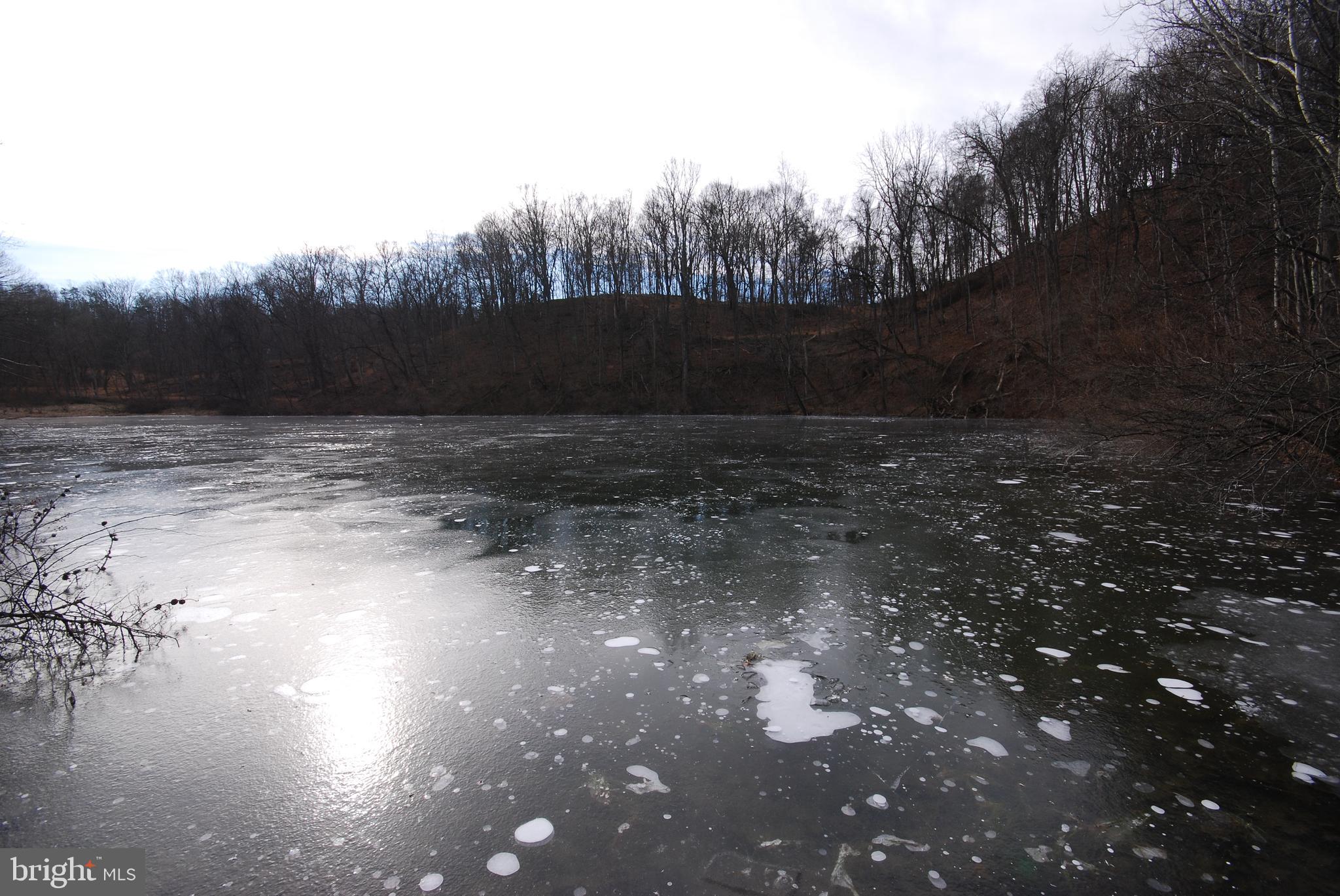 Sir Johns Run Road Berkeley Springs, WV 25411 - Photo 8 of 64