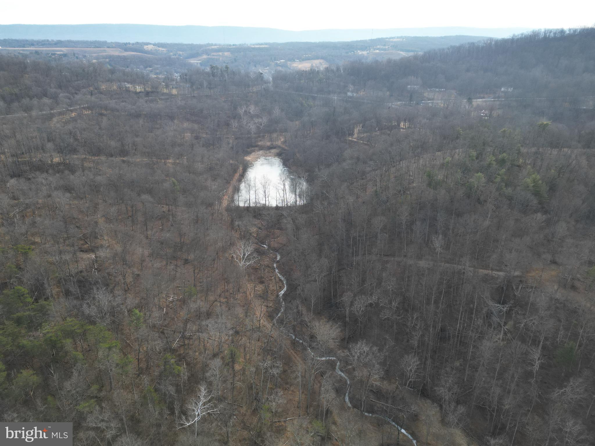 Sir Johns Run Road Berkeley Springs, WV 25411 - Photo 9 of 64
