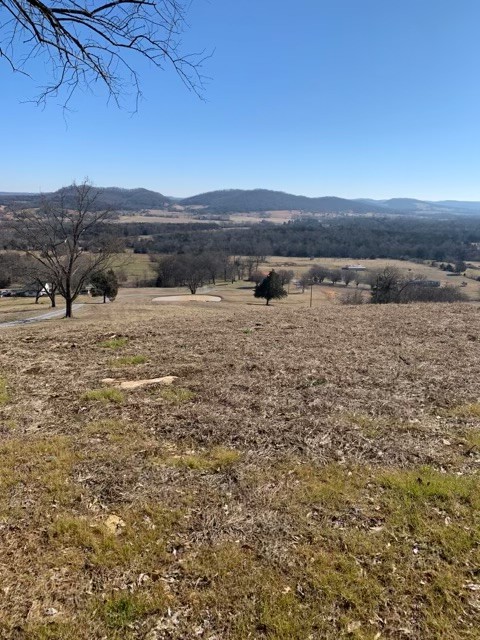 6741 Delina Road Petersburg, TN 37144 - Photo 17 of 20 Gallery Image 17