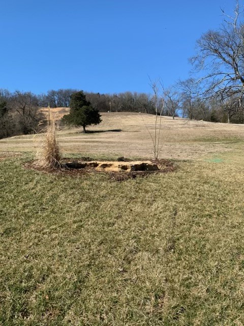 6741 Delina Road Petersburg, TN 37144 - Photo 20 of 20 Gallery Image 20