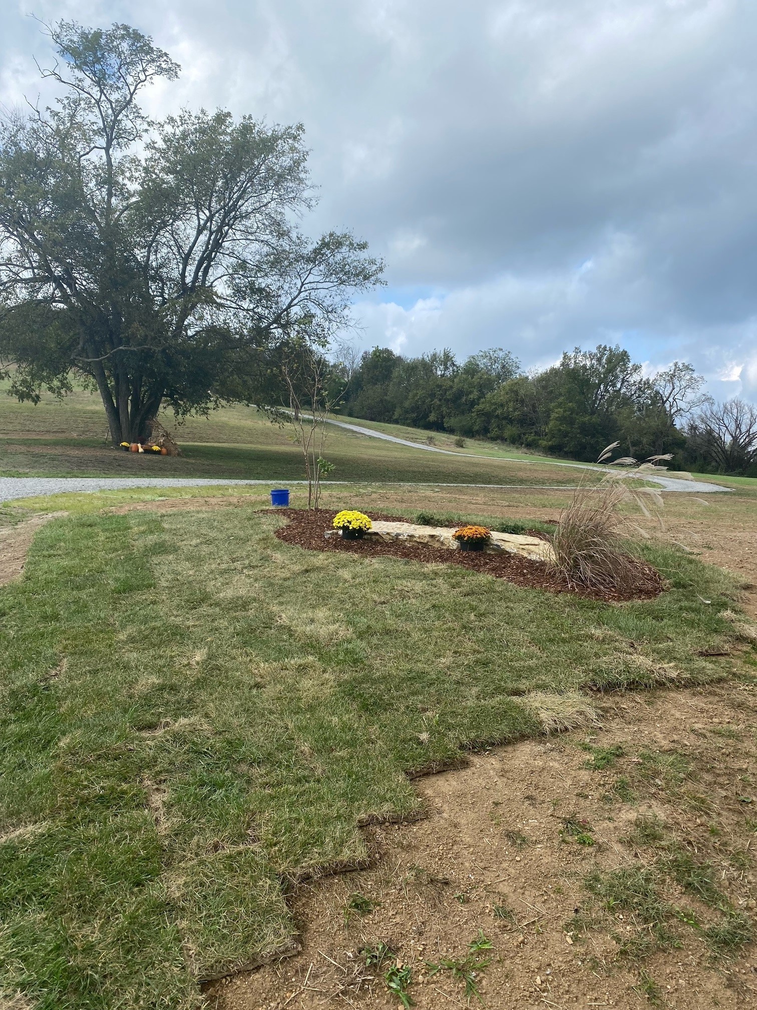 6741 Delina Road Petersburg, TN 37144 - Photo 2 of 20 Gallery Image 2