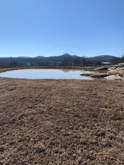 6741 Delina Road Petersburg, TN 37144 - Photo 4 of 20 Gallery Image 4