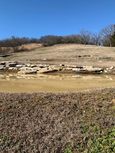 6741 Delina Road Petersburg, TN 37144 - Photo 5 of 20 Gallery Image 5