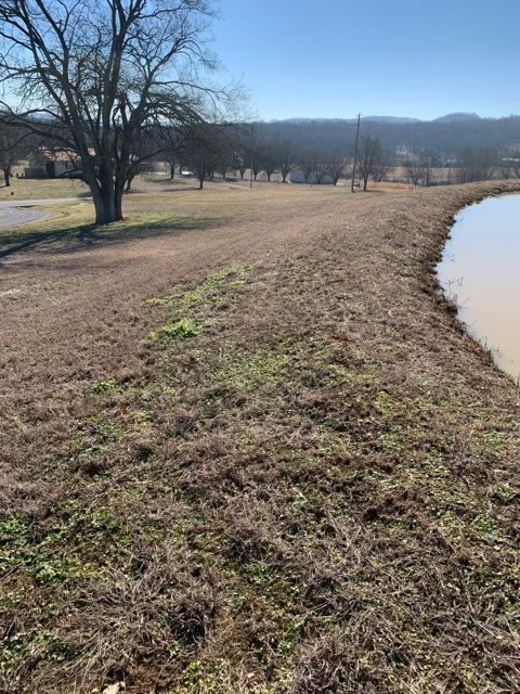 6741 Delina Road Petersburg, TN 37144 - Photo 6 of 20 Gallery Image 6
