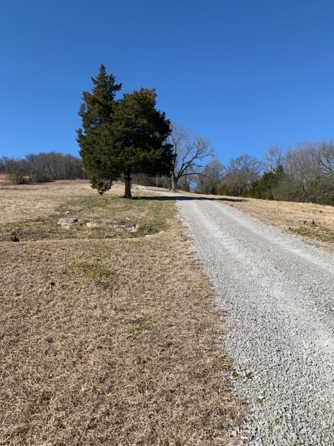 6741 Delina Road Petersburg, TN 37144 - Photo 7 of 20 Gallery Image 7