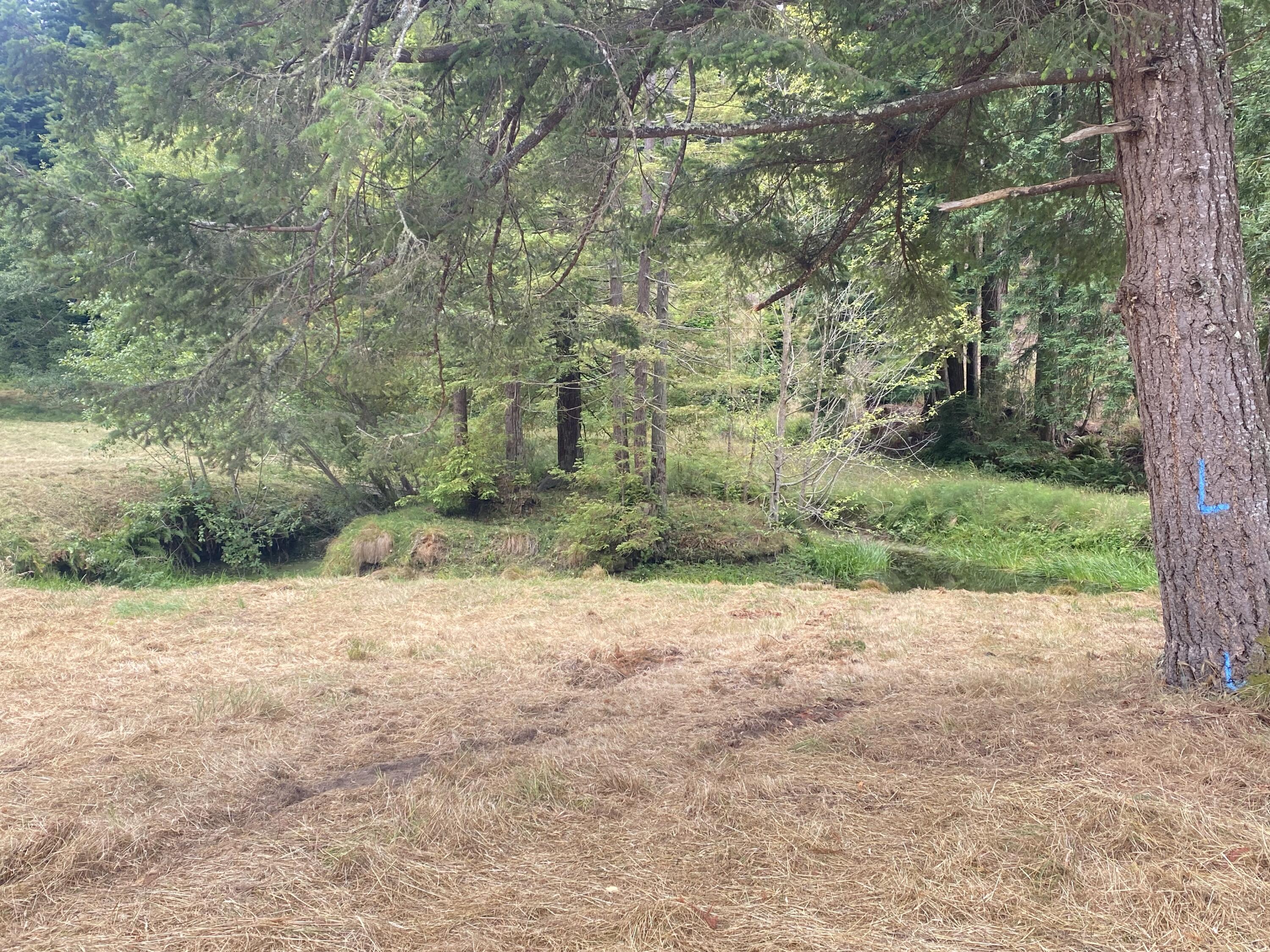 3 Pomeroy Hollow Road Freshwater, CA 95503 - Photo 10 of 12