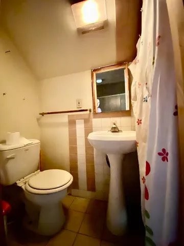 a bathroom with a sink and a shower