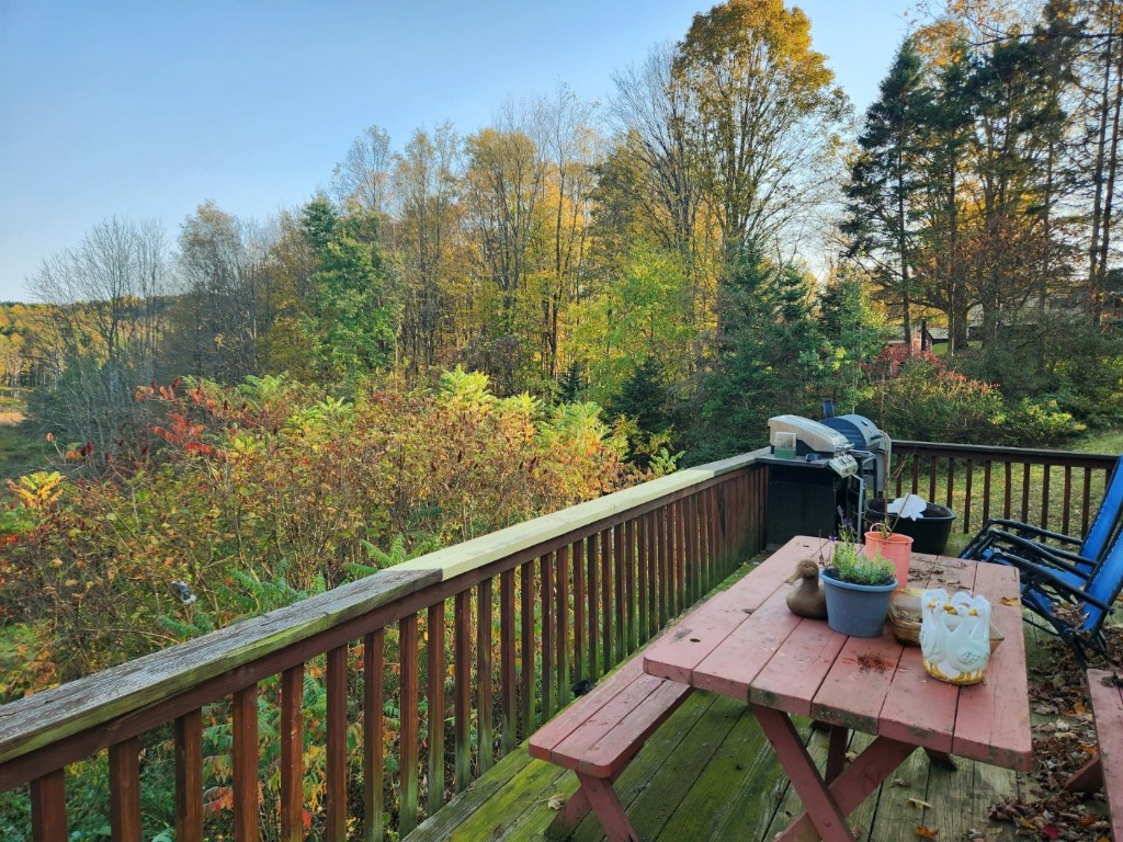 662 Pendell Hill Road Whitney Point, NY 13862 - Photo 8 of 19 Gallery Image 8