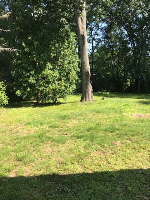 432 Angell Road Lincoln, RI 02865 - Photo 18 of 23 Gallery Image 18