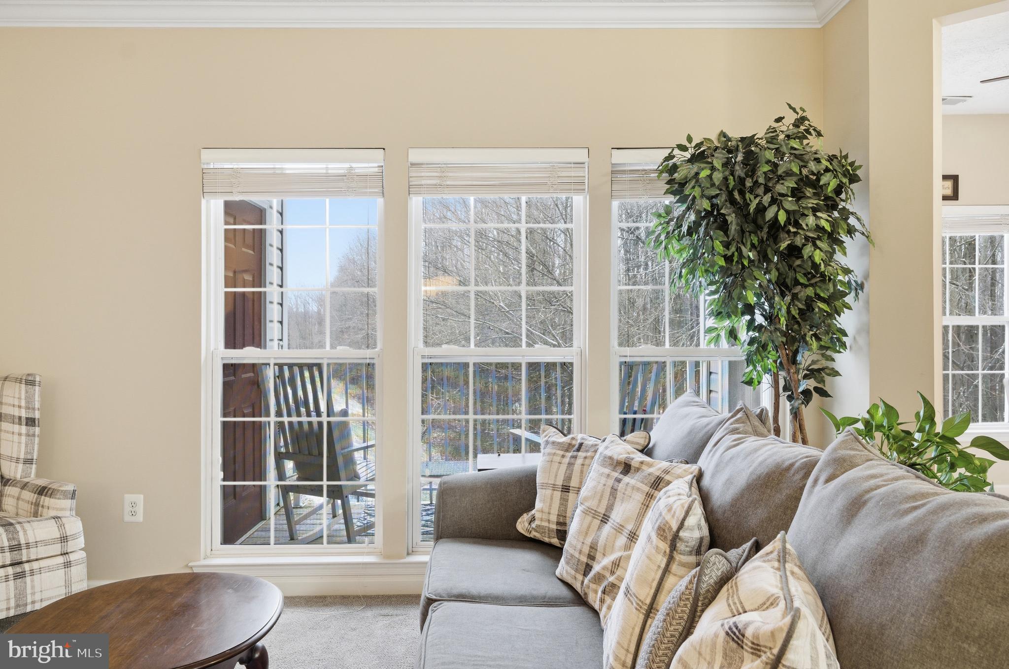 9613 Haven Farm Road, Unit 9613G Perry Hall, MD 21128 - Photo 5 of 37 a living room with furniture and a potted plant
