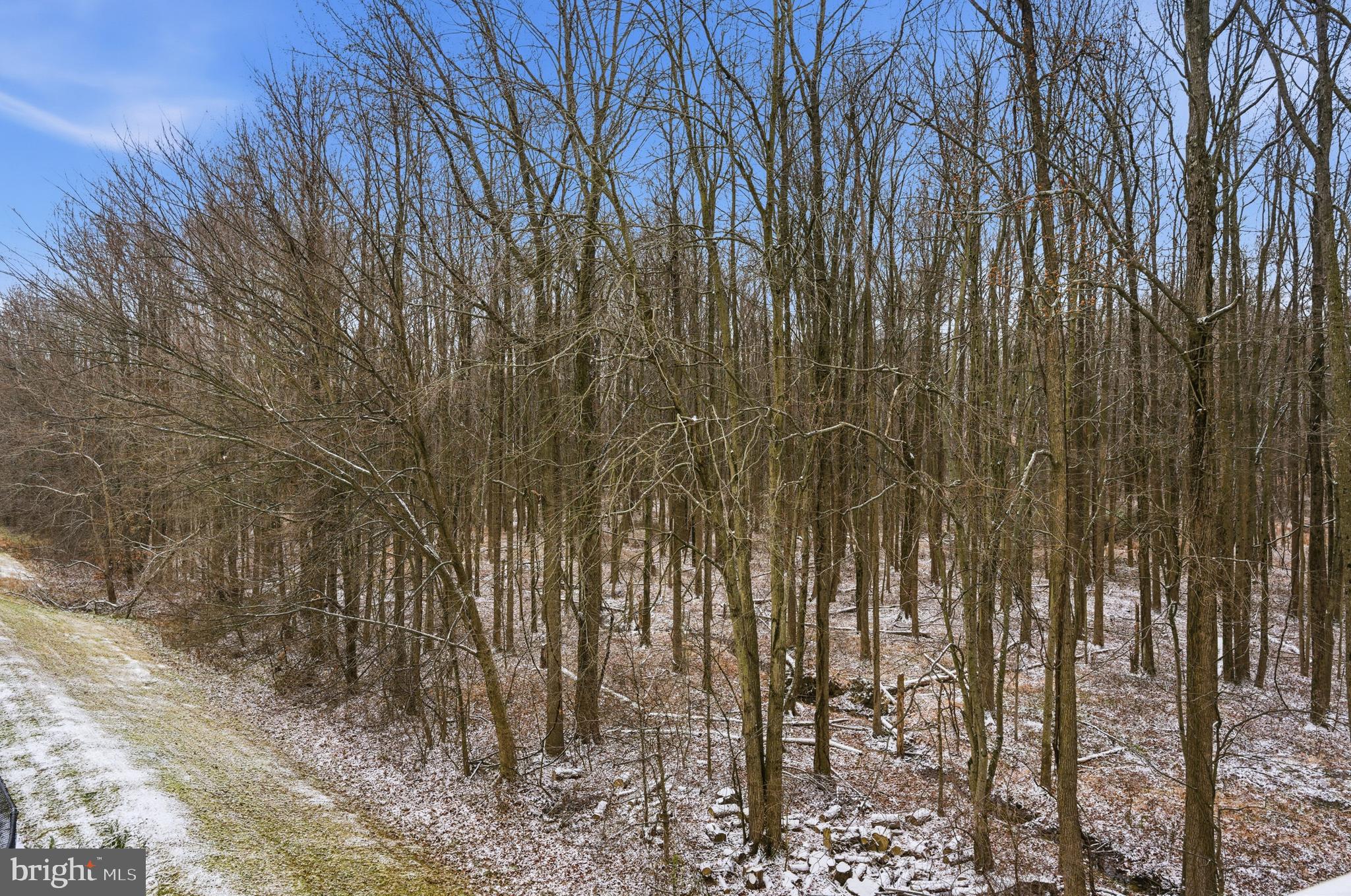 9613 Haven Farm Road, Unit 9613G Perry Hall, MD 21128 - Photo 9 of 37 a view of a yard
