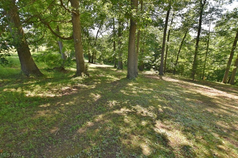 5007 Raven Road Southeast Carrollton, OH 44615 - Photo 6 of 50 Park-like setting on this beautiful track of nearly 6 acres in SE Carroll County