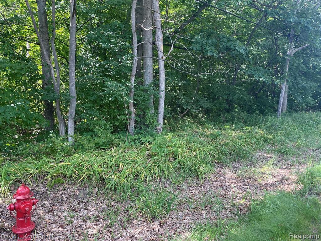 7533 Port Austin Road Pigeon, MI 48755 - Photo 6 of 7