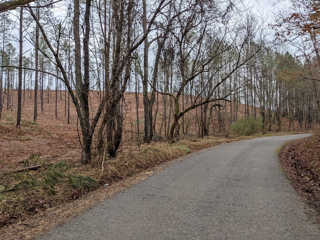 696 Dake Road Decatur, TN 37322 - Photo 9 of 14