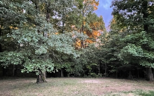 612 Grape Creek Road Murphy, NC 28906 - Photo 2 of 18 Additional View