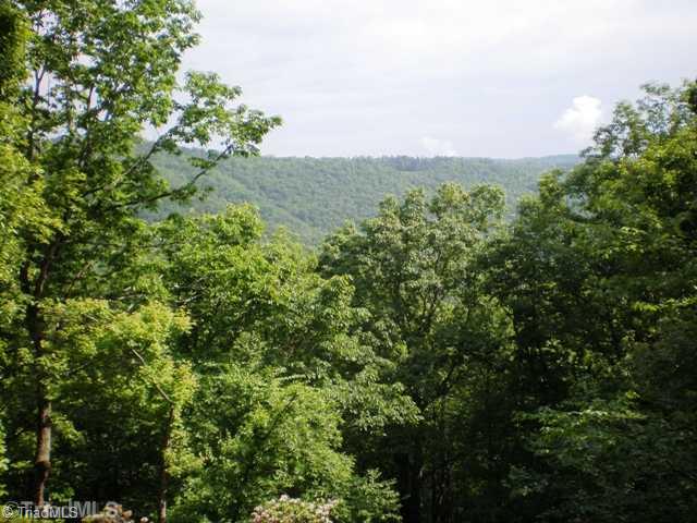 2677 Phillips Gap Road Purlear, NC 28665 - Photo 16 of 16 View.