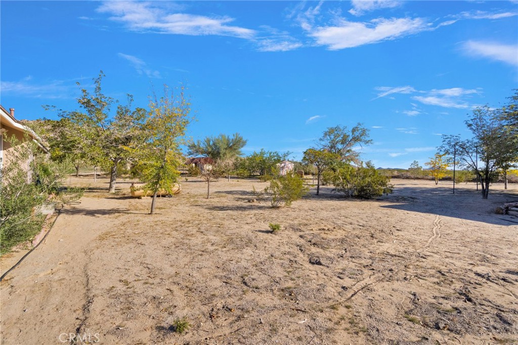 38744 East End Road Lucerne Valley, CA 92356 - Photo 9 of 46 a view of dirt yard with a large tree