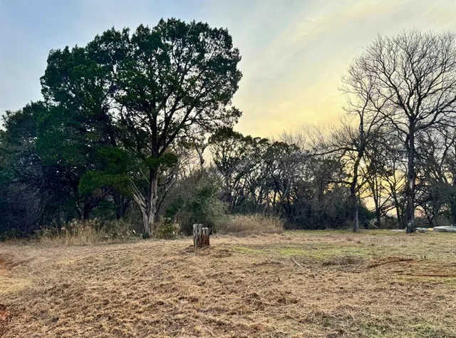 a view of outdoor space with trees