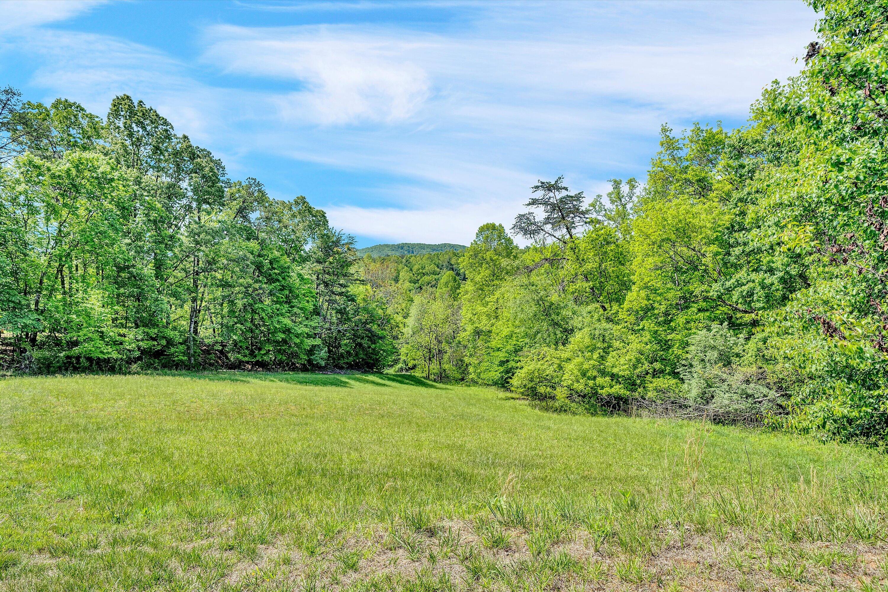 Lot 27 River Rock Road Vinton, VA 24179 - Photo 23 of 28 a view of a grassy field with trees