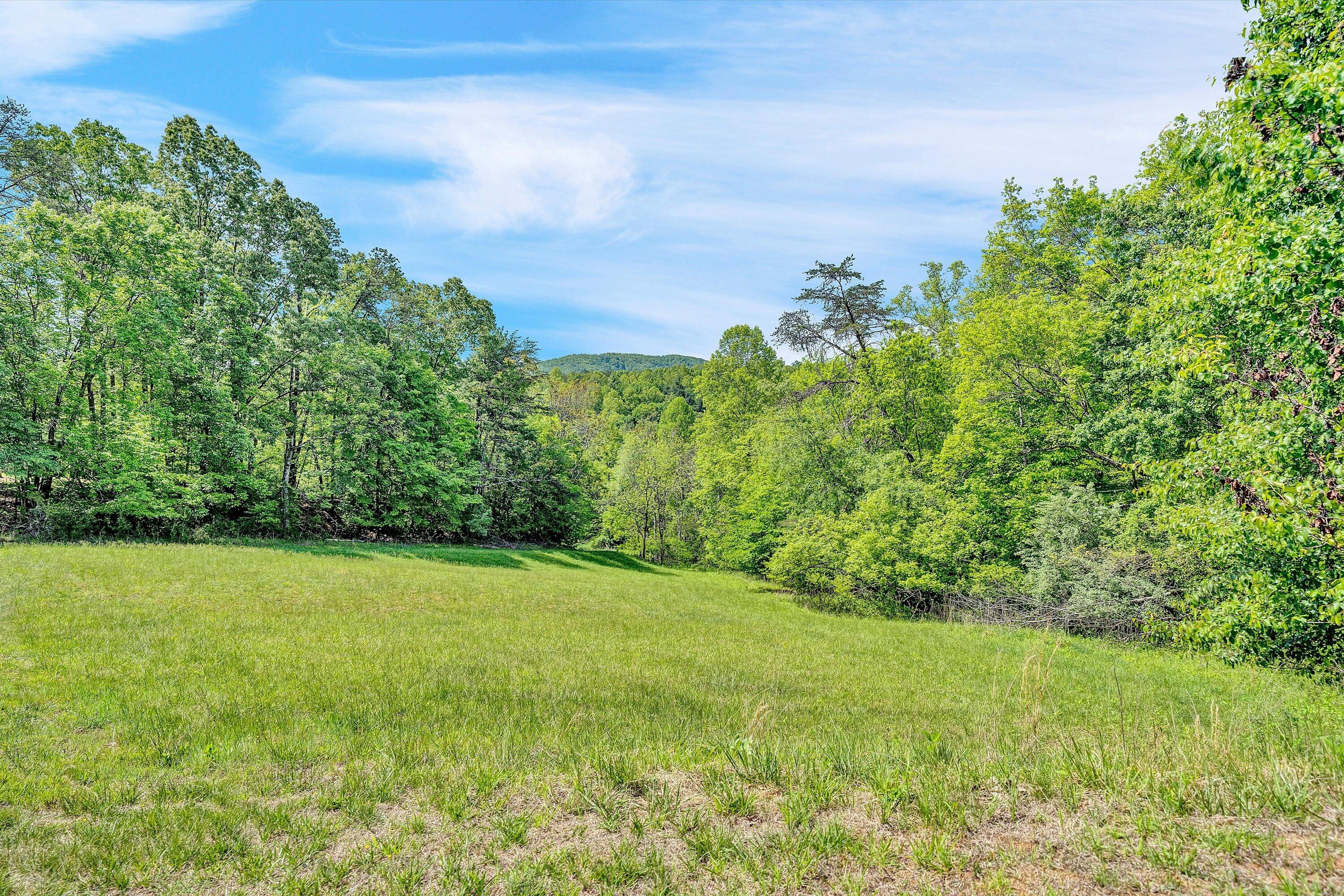 Lot 27 River Rock Road Vinton, VA 24179 - Photo 24 of 28 a view of a field with an trees