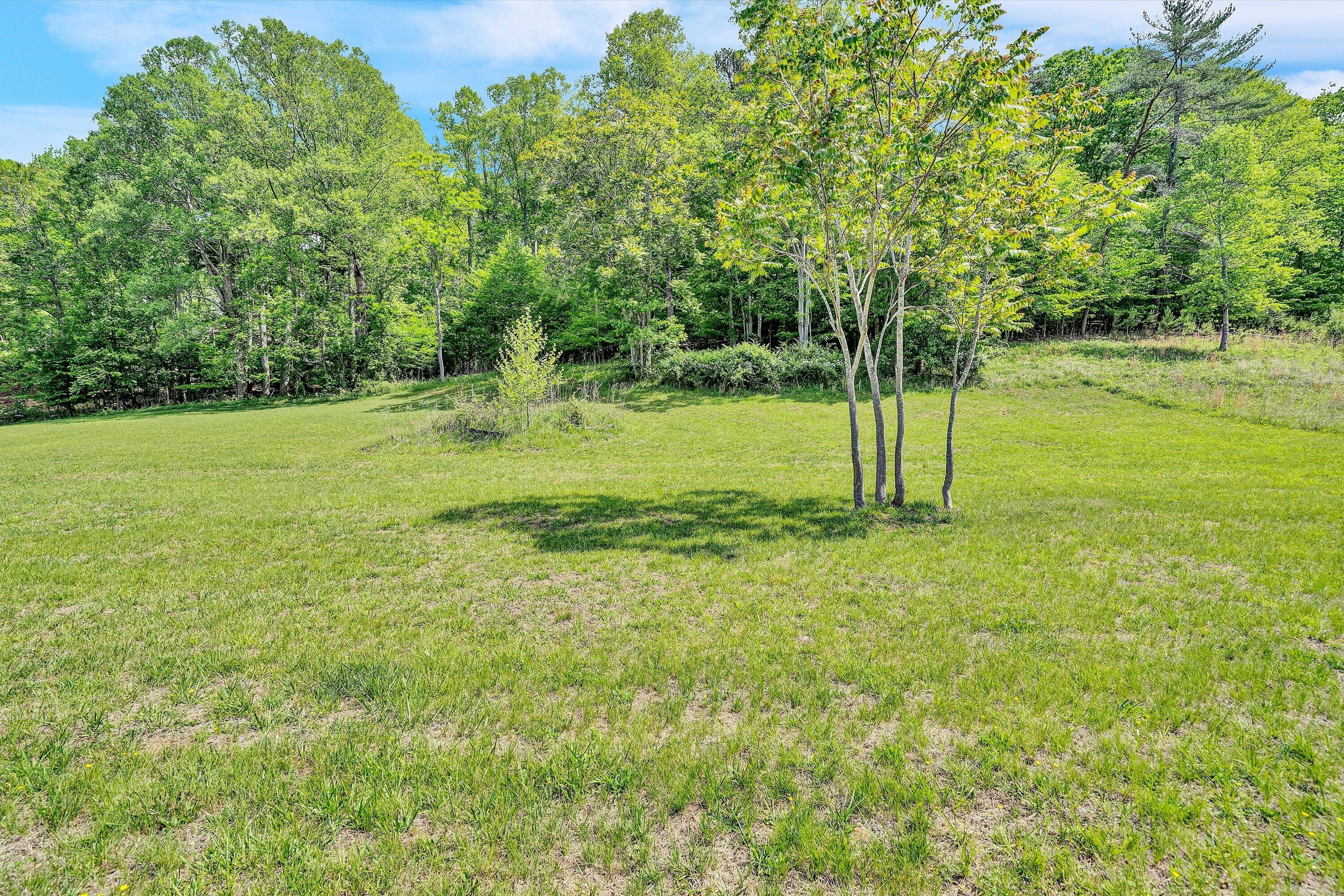 Lot 27 River Rock Road Vinton, VA 24179 - Photo 9 of 28 a view of a field with a tree
