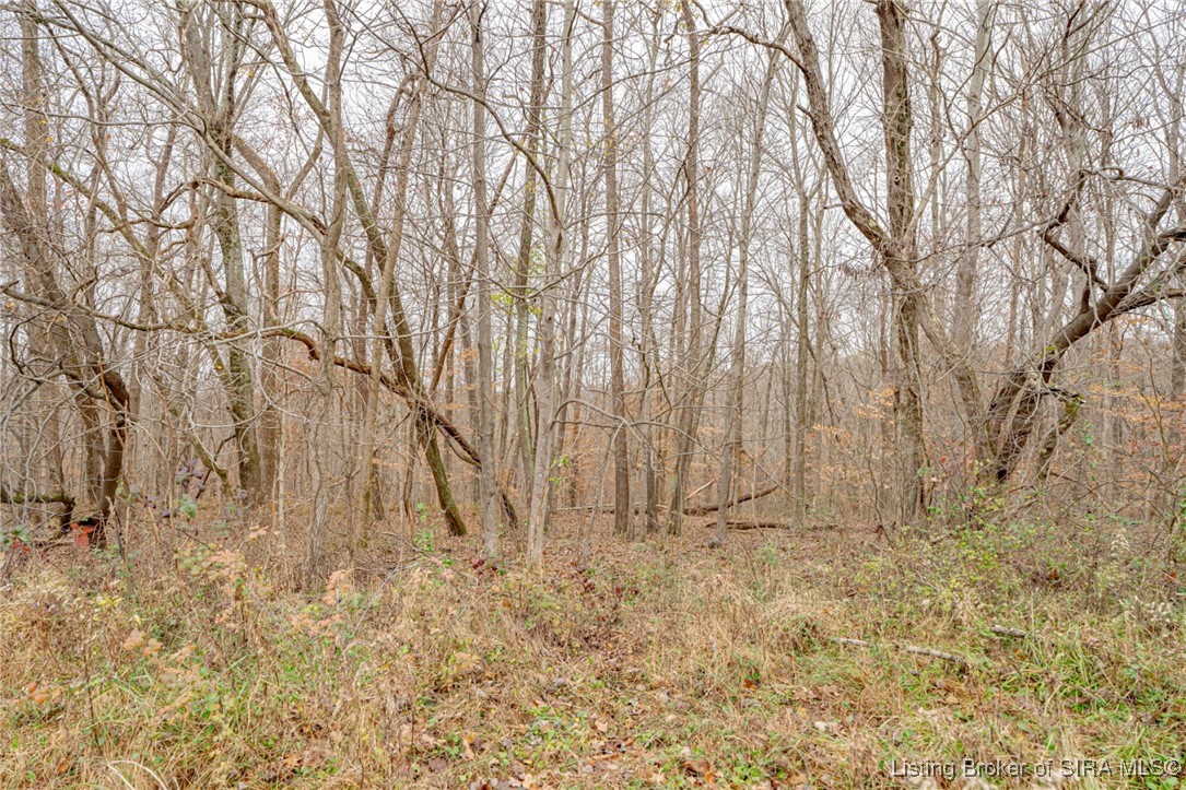 Dukes Road Northwest Depauw, IN 47115 - Photo 61 of 99 Gallery Image 61