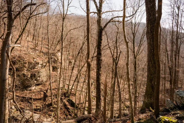 $4,578,090 | 0 Deer Run Road, Altamont, TN 37301