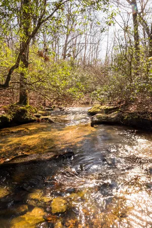 $4,578,090 | 0 Deer Run Road, Altamont, TN 37301