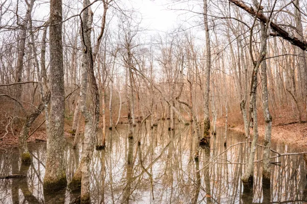 $4,578,090 | 0 Deer Run Road, Altamont, TN 37301