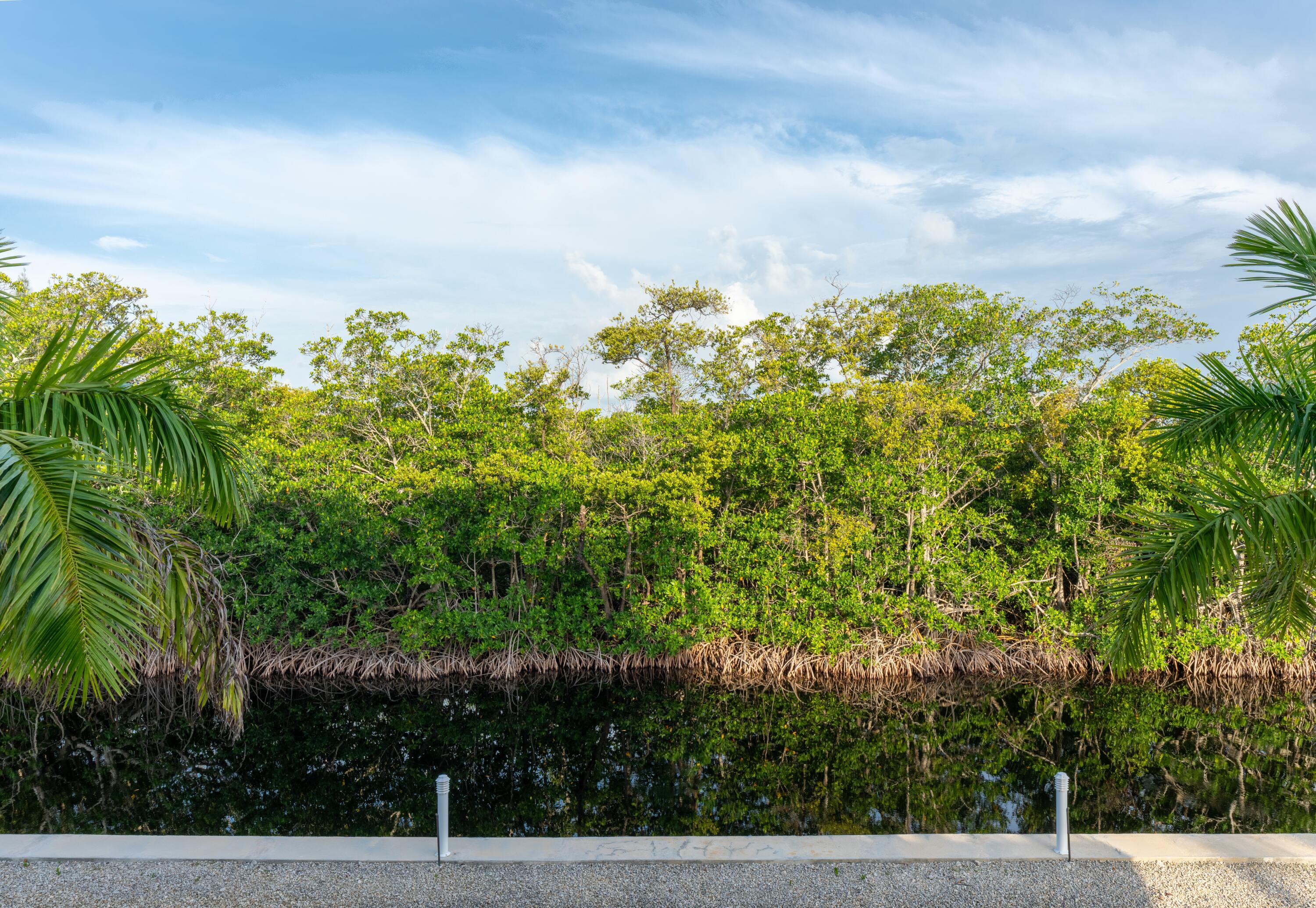 475 Bahia Honda Road Key Largo, FL 33037 - Photo 55 of 134 DSC07268-HDR
