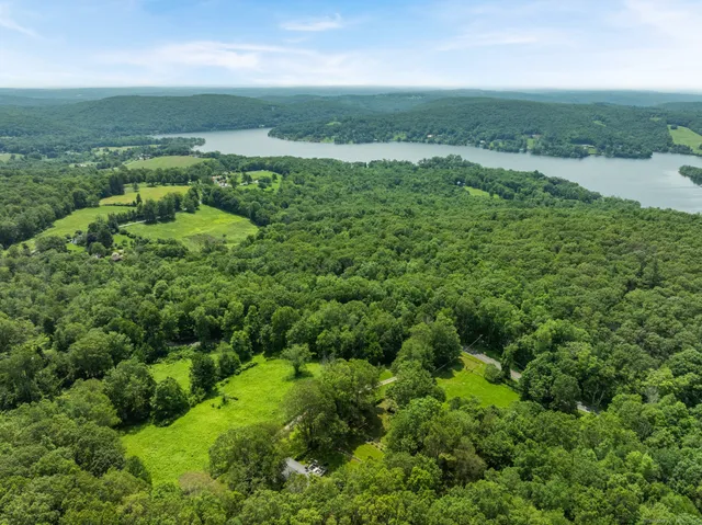 an aerial view of green landscape with trees houses and mountain view