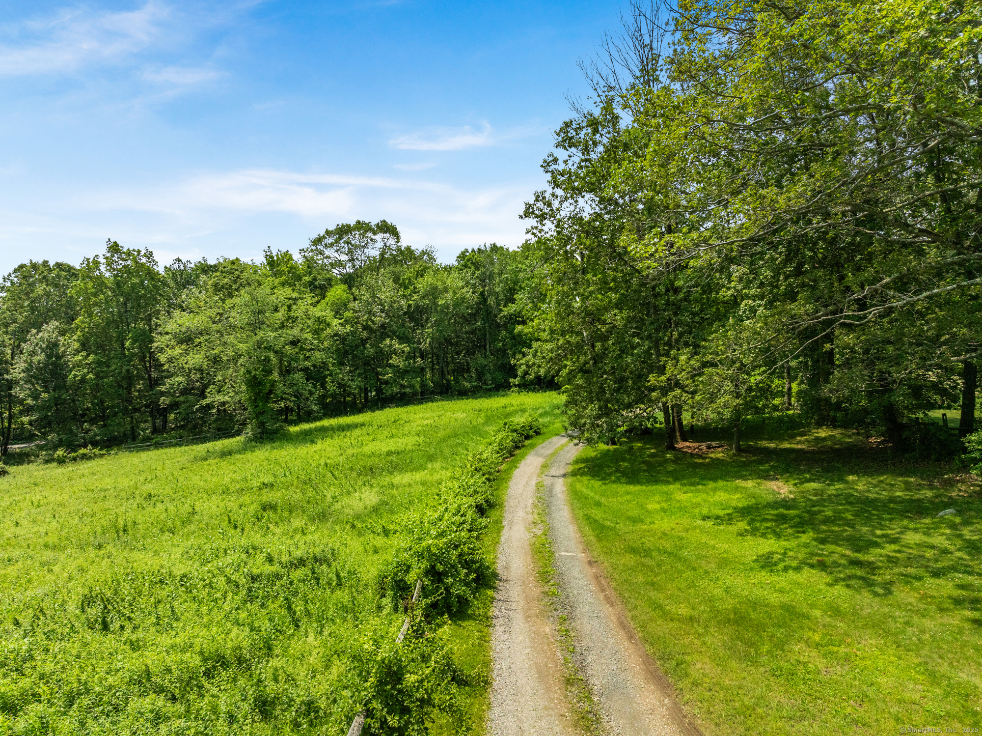 25 Mountain Lake Road Warren, CT 06777 - Photo 2 of 16 a view of a yard with a large trees