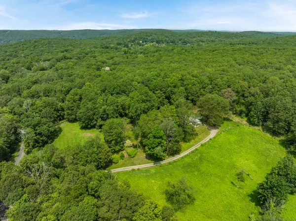 a view of a green yard