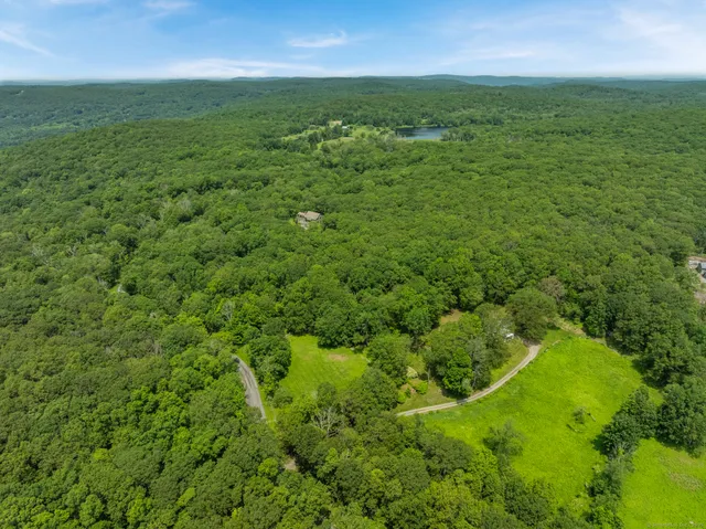 a view of a green field with lots of bushes