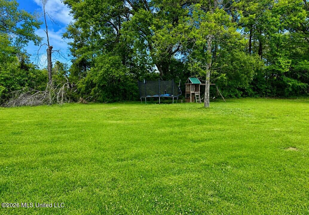 1077 Cleveland Street Hazlehurst, MS 39083 - Photo 12 of 14 Picture82