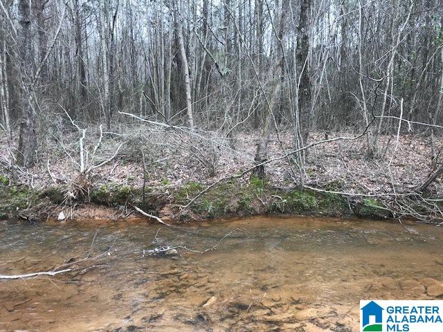 2651 Owens Road, Unit 31 ACRES Ashland, AL 36251 - Photo 3 of 7