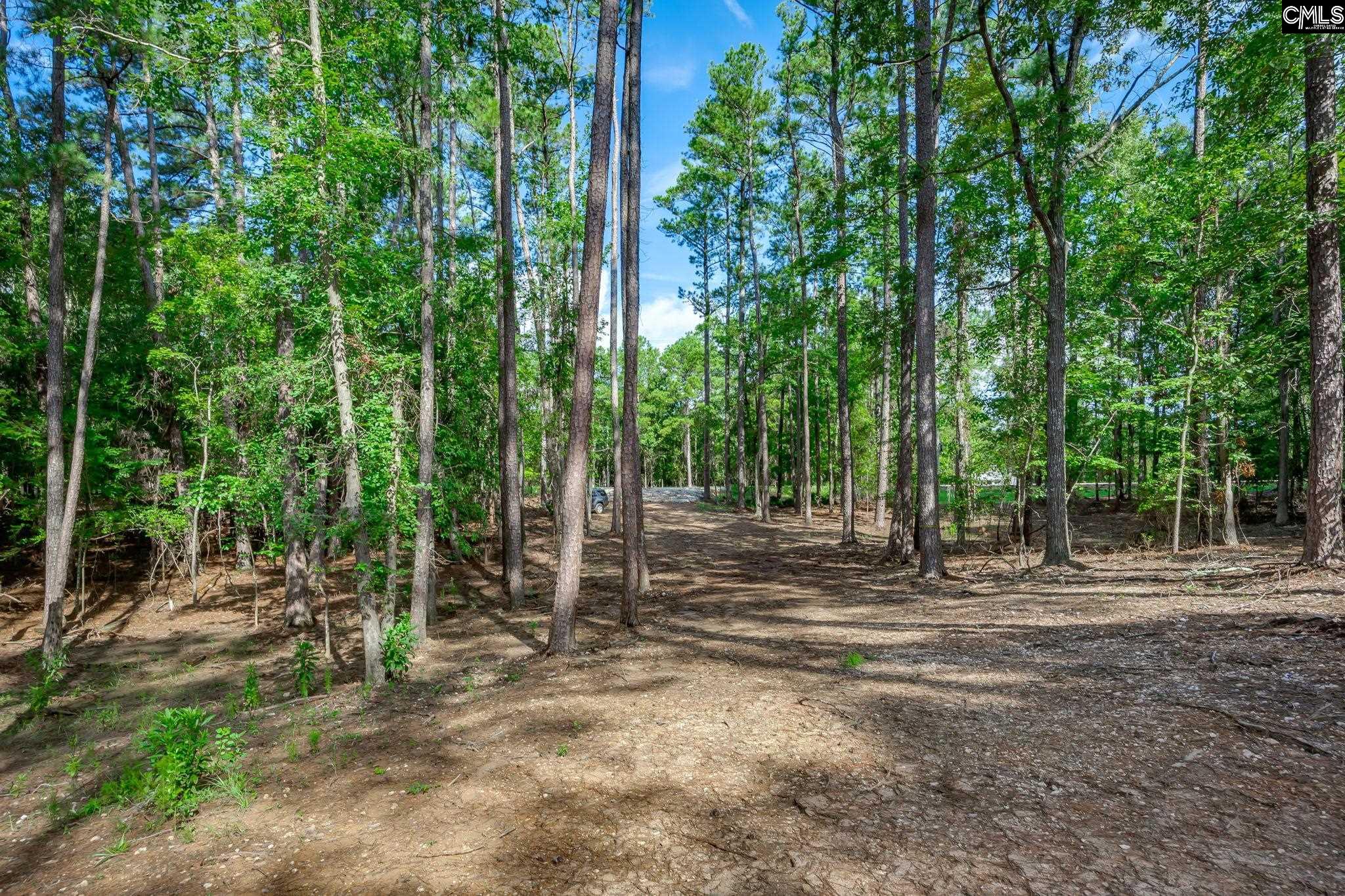 1148 Shull Island Road Gilbert, SC 29054 - Photo 14 of 20