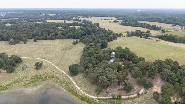 a view of a dry yard
